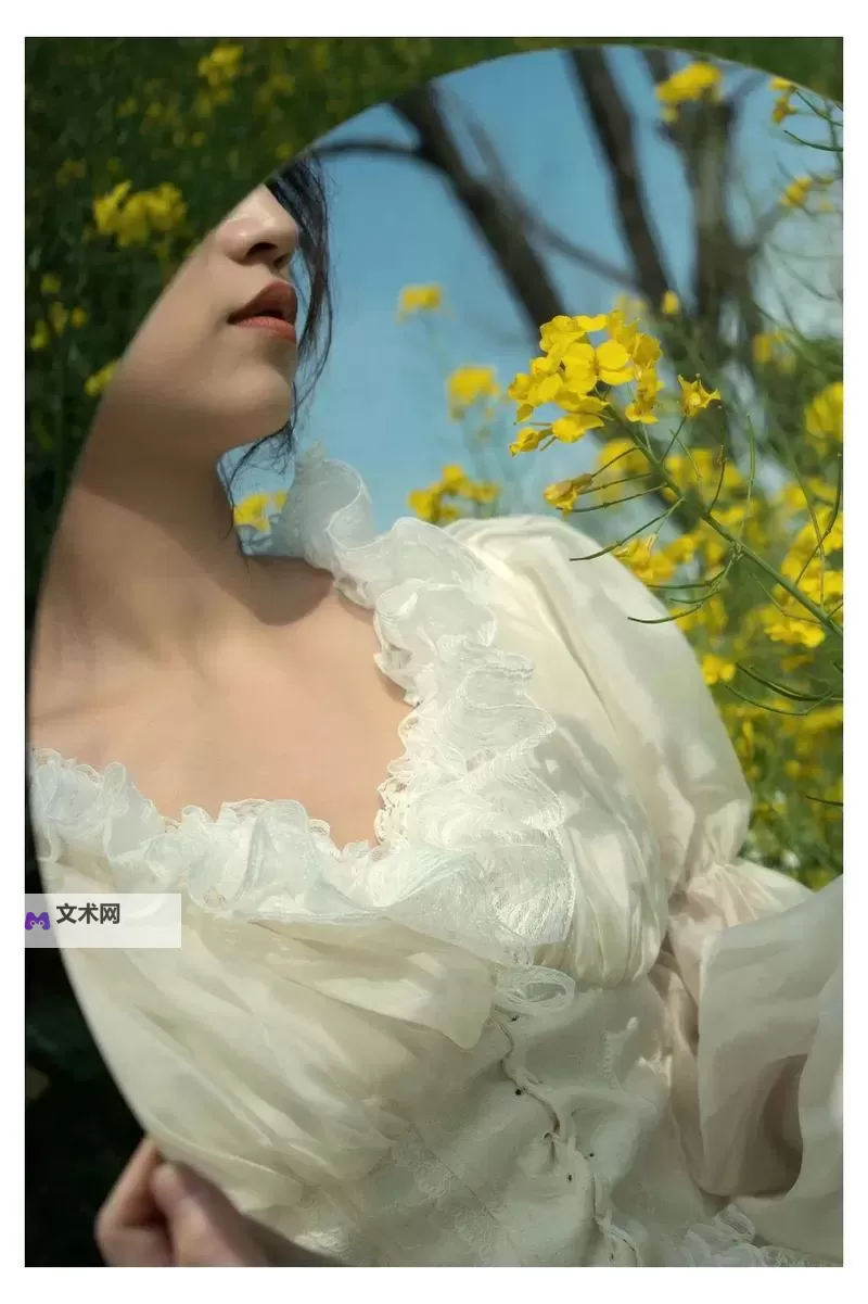 小黄花免费观看:精彩故事尽在这里的温情时光图1