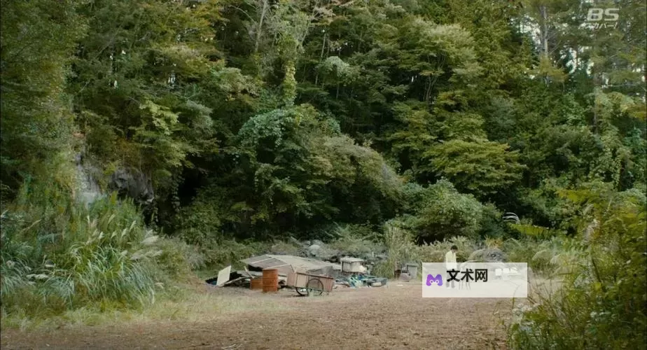 湿濡雨宿在线观看：感受细雨中的温馨时光图1