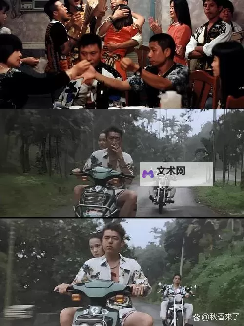台湾佬影视:探索台湾本土文化的影视平台图1