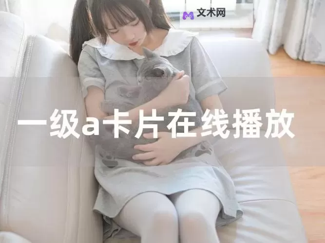 如何轻松访问与在线观看的A站,畅享高清影视内容图1