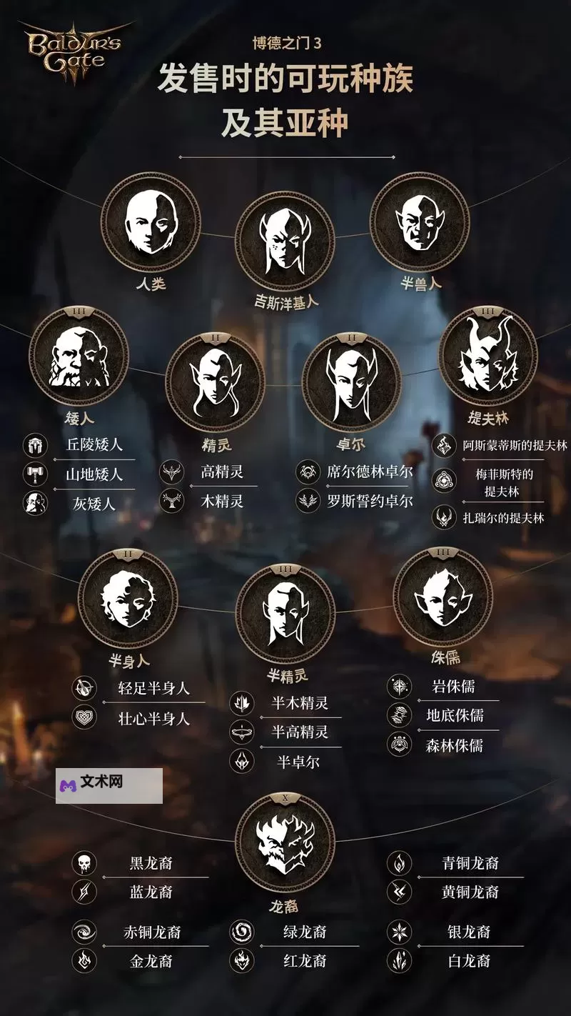 《博德之门3》实用特性推荐 特性选什么图2