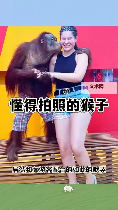 “男生和女生生猴子姿势直播:趣味互动引爆观看热潮”图1
