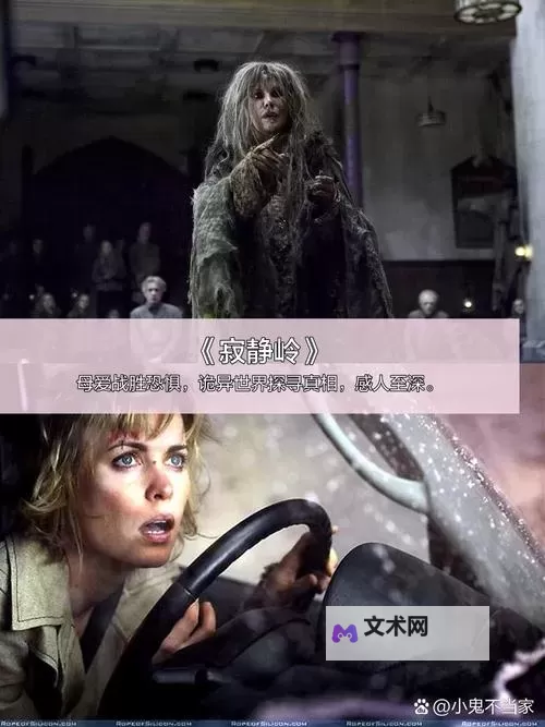 揭秘188426神秘电影免费剧情介绍:精彩不容错过图1