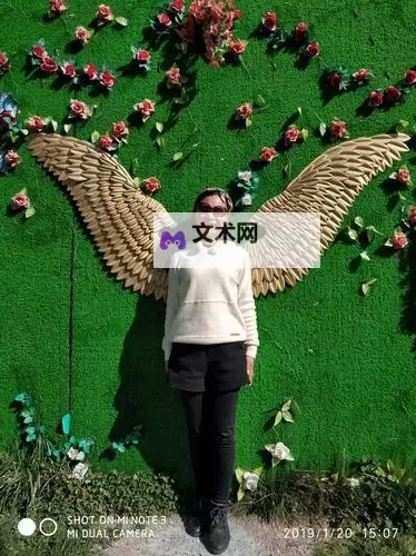 老公生日巧遇3Q花落归途：一段温馨而感人的旅程图1