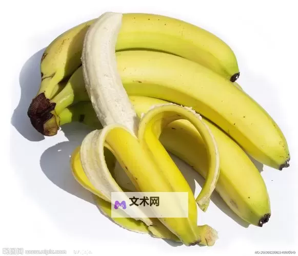 探索精彩内容尽在：www.5.香蕉视频，尽享无限娱乐体验图1