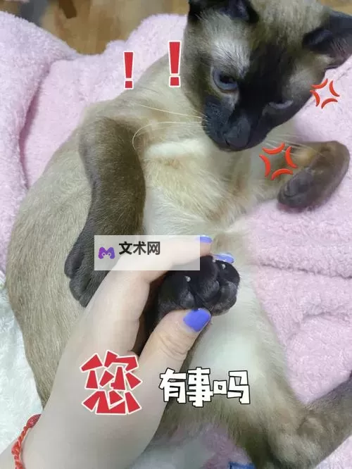 戏精大侦探双开神器 轻松一键搞定戏精大侦探挂机双开图1