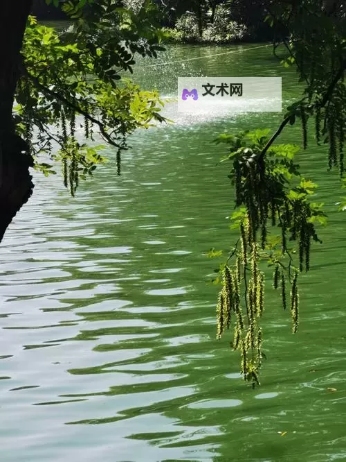探索高清流畅的体验:x8x8拨牐拨牐永久免费视频全站推荐图1