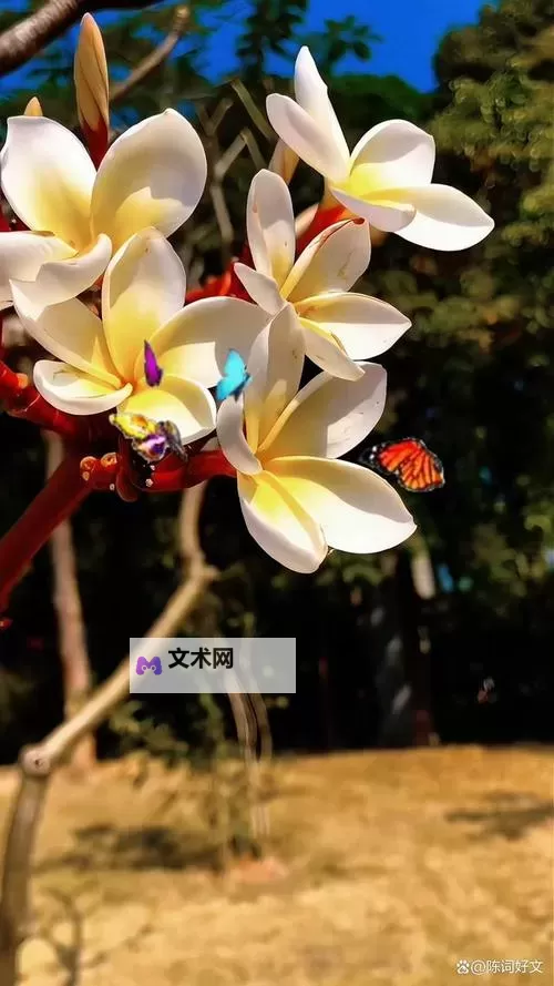 久久狼友五月天：沉醉其中的青春回忆图1