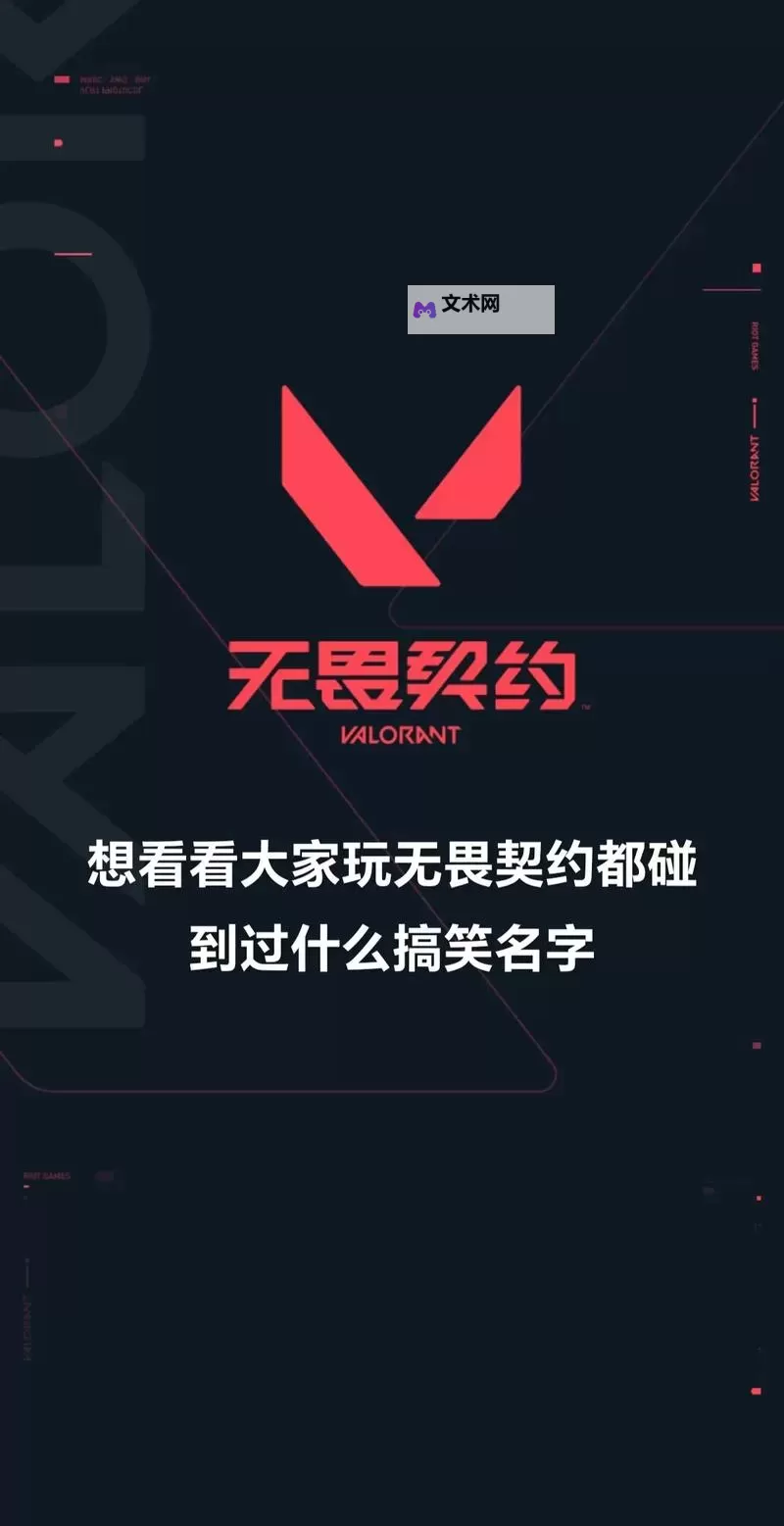 《无畏契约（瓦罗兰特）》怎么隐藏名字 怎么隐藏等级图1