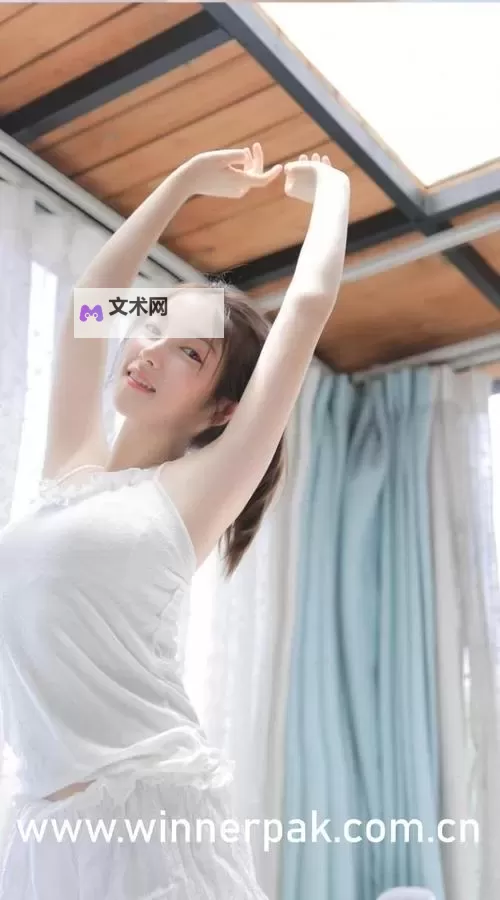 岳两女共夫:家庭伦理的冲突与情感交织图1