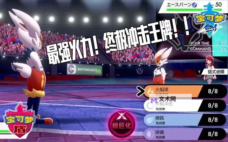 《宝可梦剑盾》S5规则闪焰王牌队伍分享图2