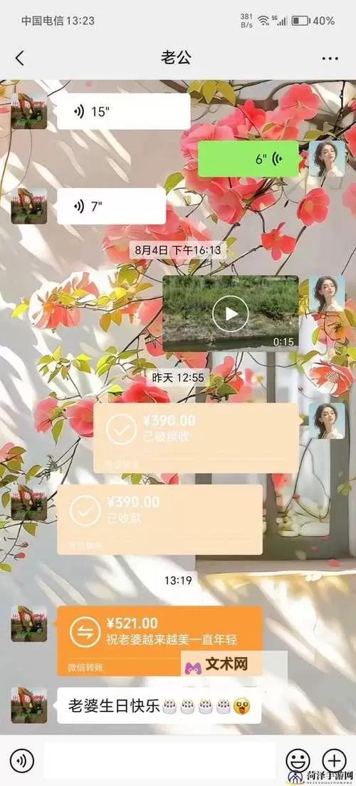 永久ADC视频年龄确认指南:确保您的观看合规无忧图2