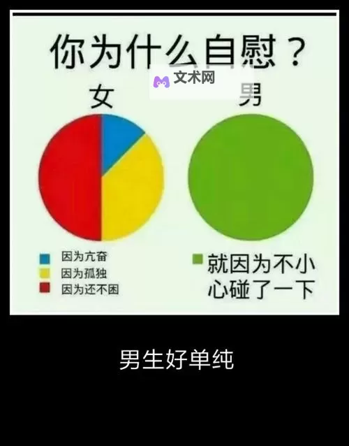自W到高C的25种视频教程：全面提升技能的实用指南图1