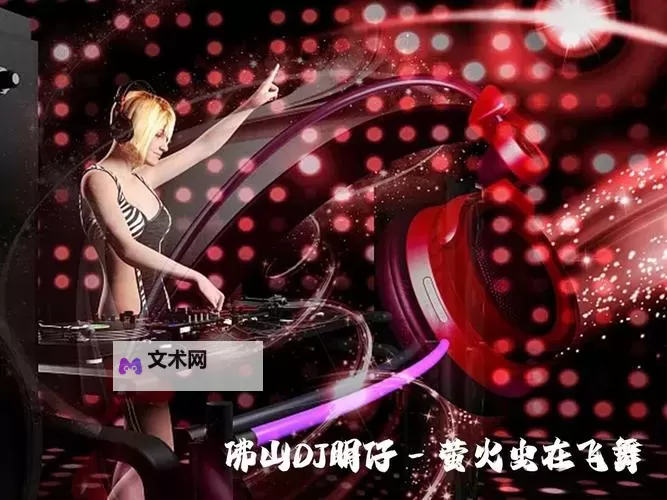 在线播放无忧：www.午夜dj高清视频在线观看免费尽享高清体验图1