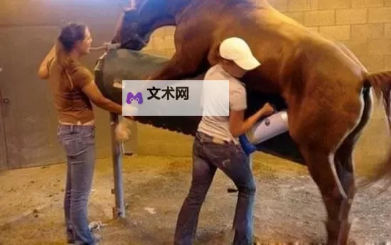 详细解析：做AJ过程图片全流程展示图1