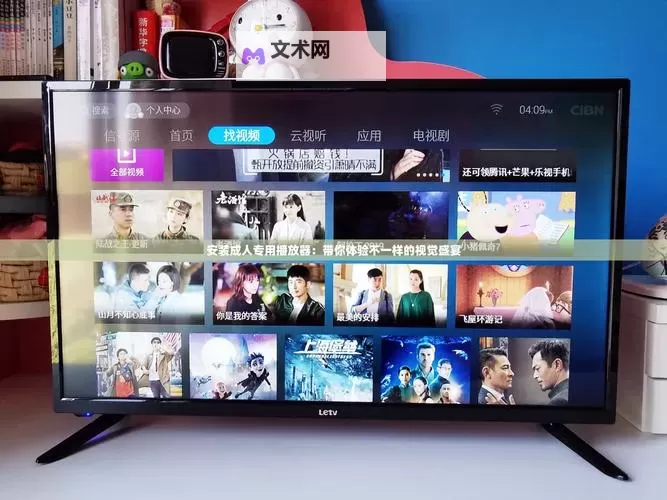 怎样安装成人播放器：详细步骤指南图1