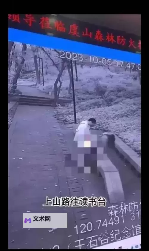 为何黄片儿小视频怎么看不成呀？解决方法详解图1