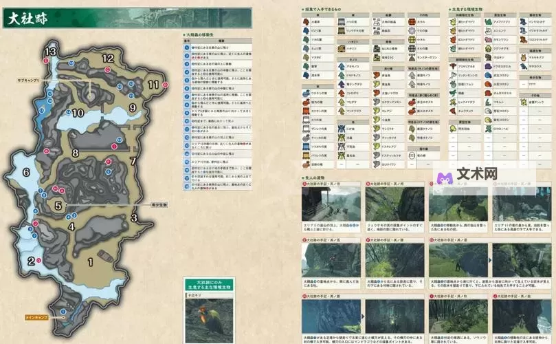 《怪物猎人荒野》老旧龙雕币刷取教程 老旧龙雕币怎么刷图1