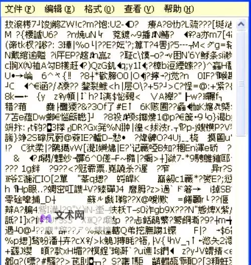 解决中文字字幕11页中文乱码的实用方法与技巧图2