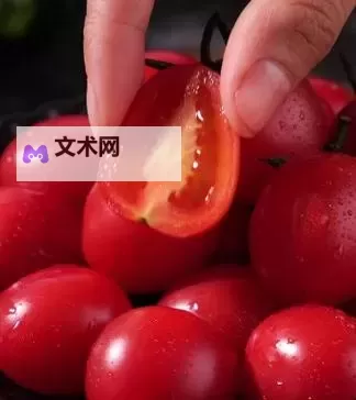 最新爆料！番茄视频[52xxx.xyx]全新资源介绍图1