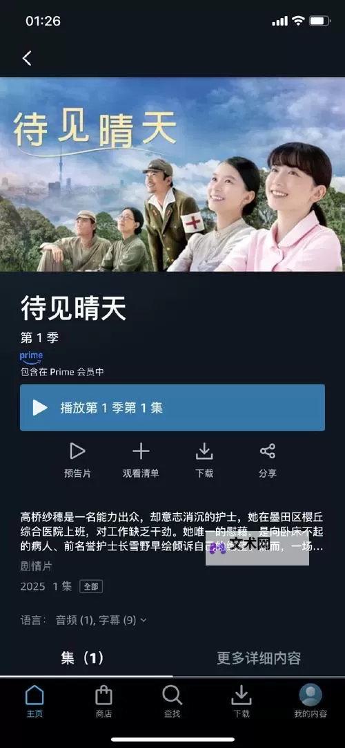 最值得一看的电影桥段：最好好看的中文字幕全解析图1