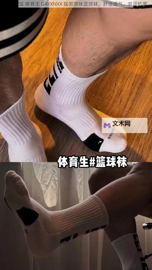 探索安全可靠的国产男男Chinese网站推荐与指南图1