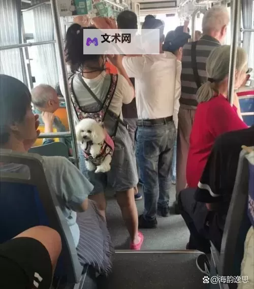 在公交车上我们做起爱的事:温暖与甜蜜的瞬间图1