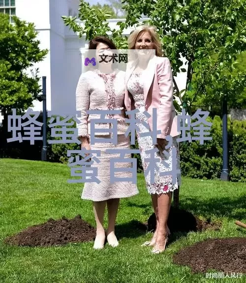 珍奇事件揭秘：岳两女共夫记事考图1