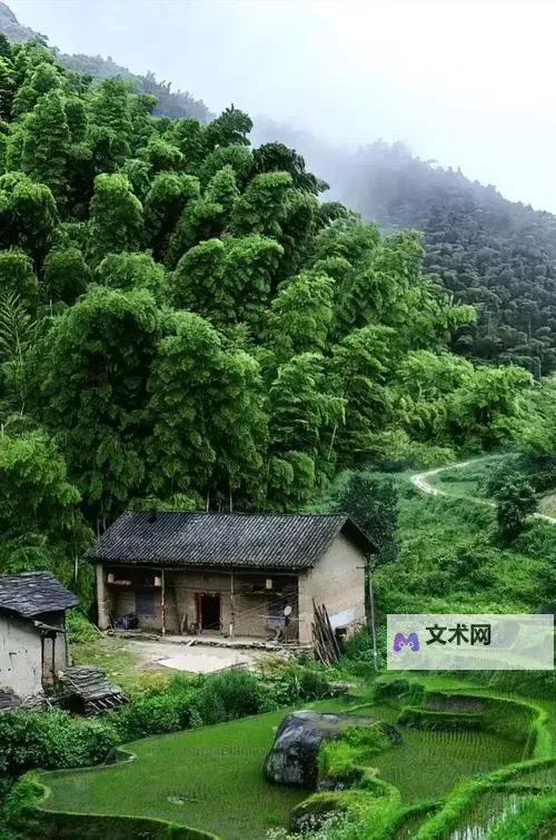 奇幻奇遇：我坐在父亲紫色大龙上写作业的神奇时刻图1