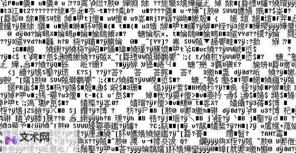 揭秘中欧乱码卡一卡二卡三背后的秘密:探寻神秘代码的真相图1