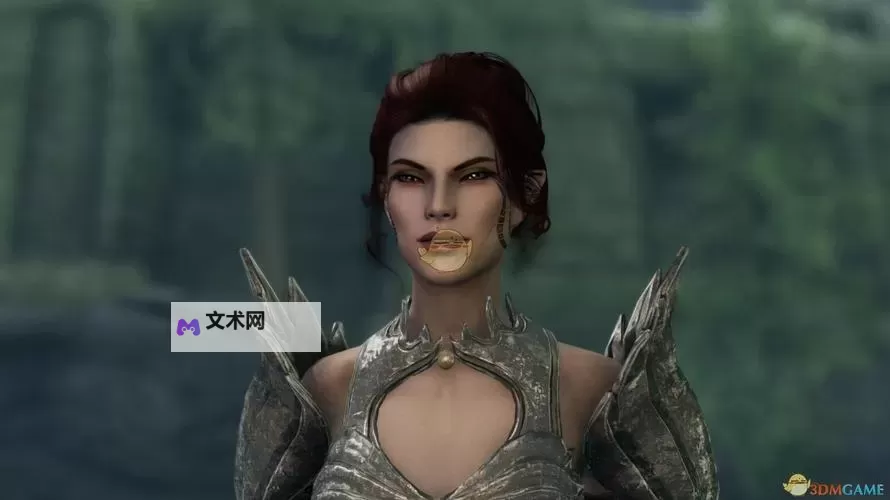 《上古卷轴5》日系美女声音MOD及使用方法 上古卷轴5美女声音MOD怎么用图2