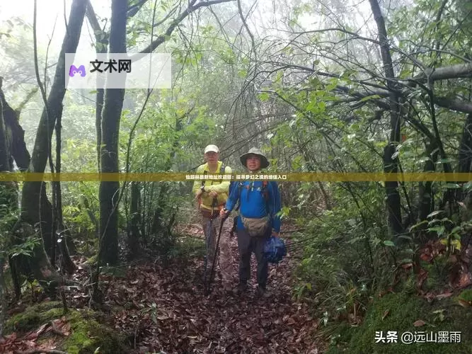 探索奇幻世界:最新仙踪林视频-欢迎您精彩呈现图1