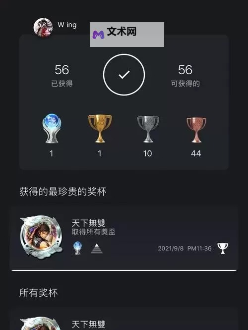 《巫师3》奖杯达成白金心得图2
