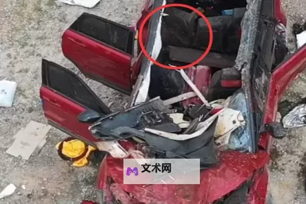 于月仙车祸现场视频曝光：事故细节令人震惊图1