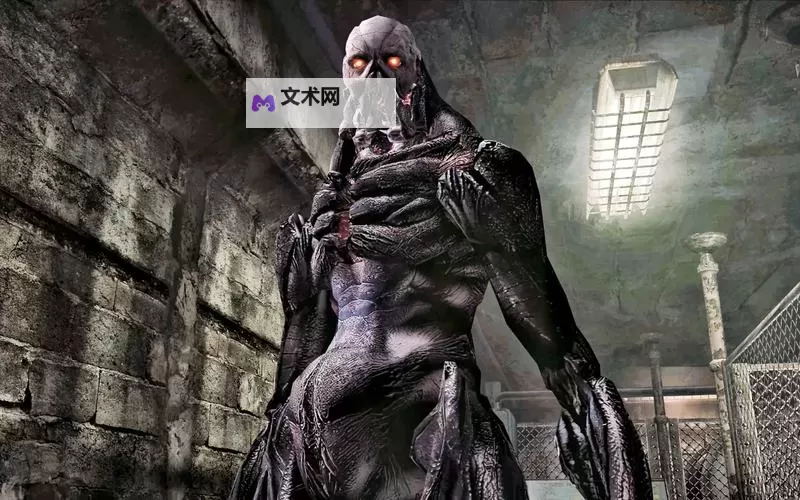 《生化危机4重制版》专家难度S+难点整理图1