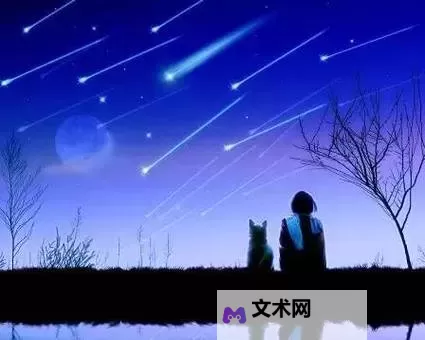 回忆中的璀璨瞬间：最后一次看流星雨图1