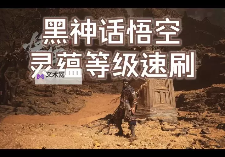 《黑神话悟空》后期速刷灵蕴教学图1