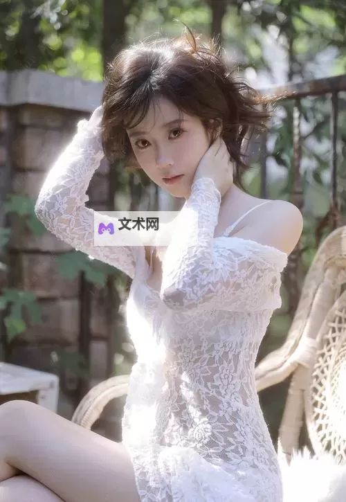 揭秘：美国10次国产传媒“一区二区三区”战略背后的秘密图1