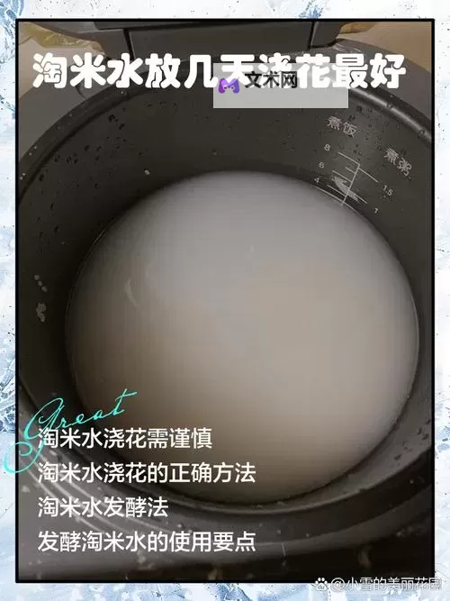 用什么水淘米最好？精选方法让米更香更健康图1