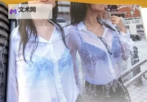 《湿濡雨宿在线观看:细腻描绘雨中繁华与孤寂的文学佳作》图1