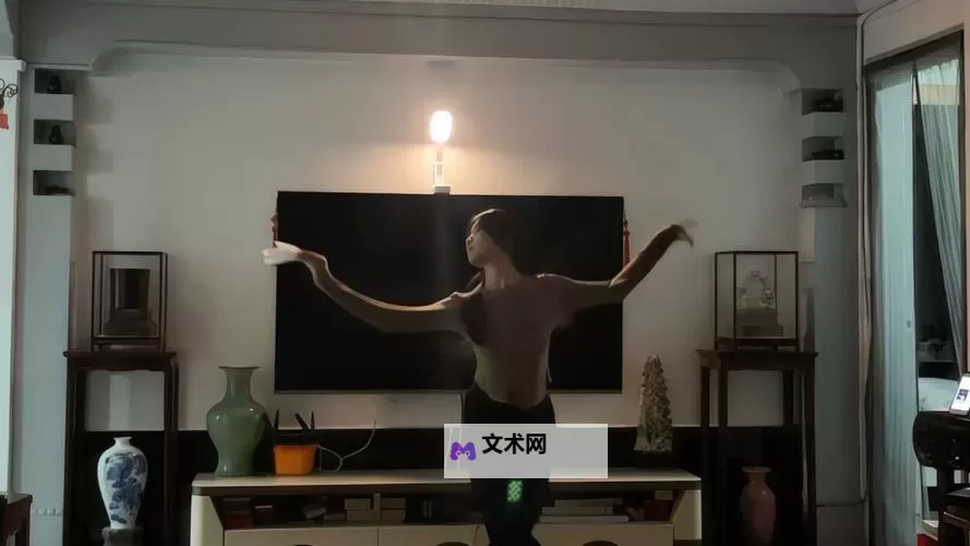 纸巾必备舞蹈网：舞者必看舞蹈技巧与心得分享图1