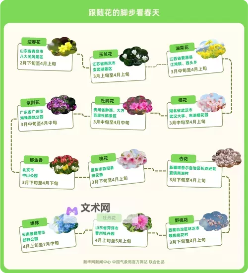 花（Flower） 全隐藏花朵位置介绍图1