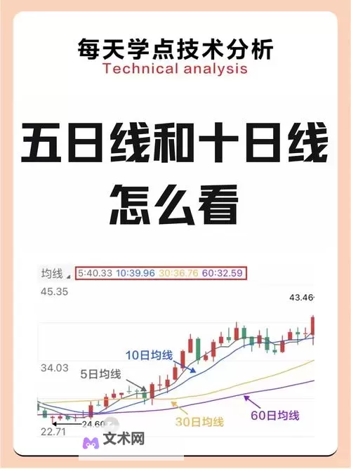 中文在线5月10日快速上涨：创历史新高引发市场关注图1