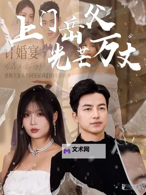 岳婿合体内容介绍：精彩情节与角色解析图1