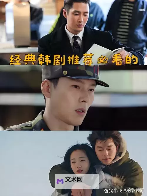 2024年度最受欢迎的韩剧排行榜Top10，必看代表作揭晓图2