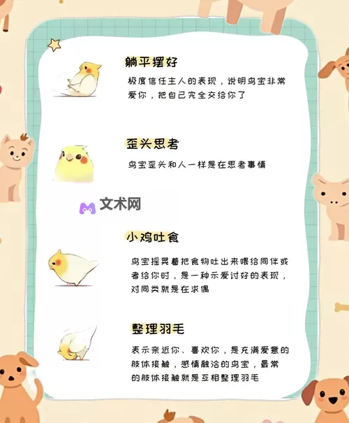 《小鸟爱飞翔》萌宠系统玩法介绍  《小鸟爱飞翔》萌宠养成攻略图1