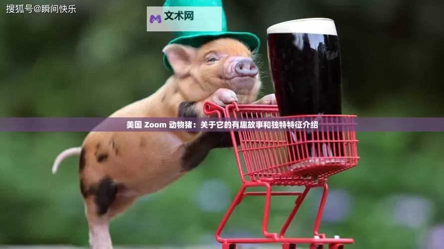 探索最新美国ZOOM动物，精彩内容欢迎你！图1