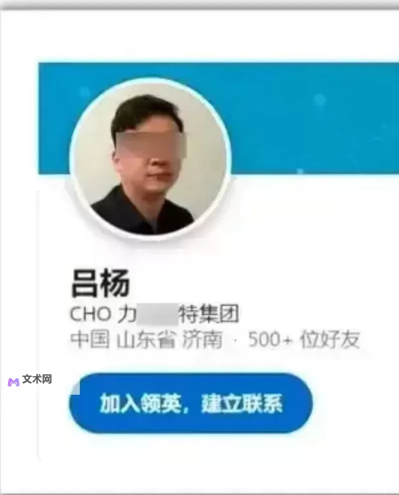 张津瑜吕总1080P网盘：高清资源免费下载指南图1