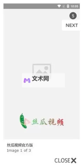 草莓视频黄色在线看：最新在线视频免费观看指南图1