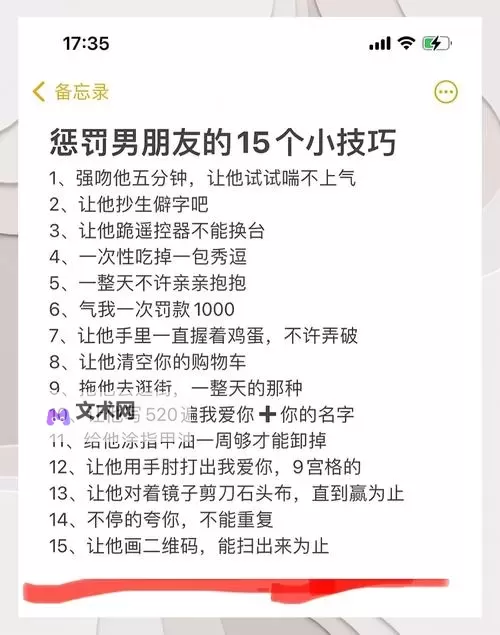 怎么惩罚自己的隐私最痛苦计划：自我折磨与隐私保护的极端思考图1
